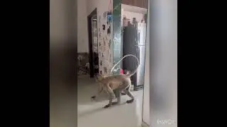 Special guest visit the home