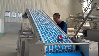 Hard Biscuit making machine| Fully Automatic Biscuit Making Machine price |whatsapp: +86 18954109821