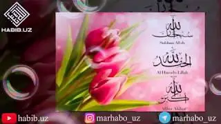 Shayx. Muhammad. Sodiq. M. Y. Ollohga istig'for ayting