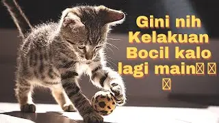 Gini Nih Kelakuan Bocil Kalo Lagi Main!!! Gemess Deh.