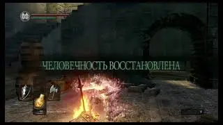 Лучшее за год.