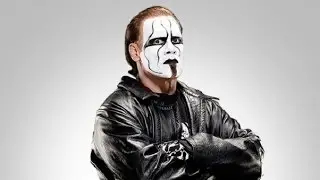 Sting confirma su retiro de la WWE