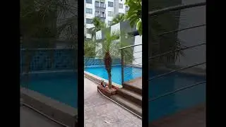 Arcadia Beach Resort Condominium   #travel #паттайя #pattaya #walkingstreet #shots #shorts