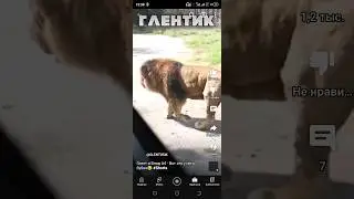 Глент и Влад а4 — Вот это у него бубен😂