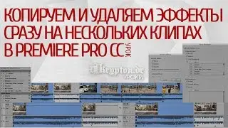 УРОК: Копируем и Удаляем Эффекты Сразу На Нескольких Клипах в Premiere Pro CC