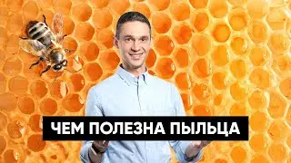 ЕСТЬ ЛИ ПОЛЬЗА В ПЕРГЕ И ПЫЛЬЦЕ