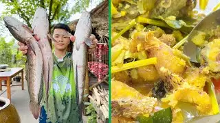 Creamy Wild soup snakehead fish with country style cooking - Country chef cook delicious fish soup