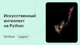 Конструктор ботов Telegram. Марафон по написанию кода на Python