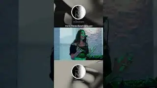 Gracie Jay - Dive into the Excitement of Stage Vibes EP 2