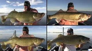 Slay Day of Walleye Fishing with Good FRIEND!