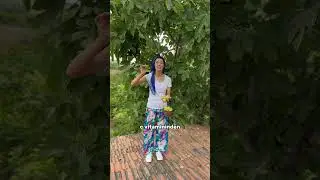 KÖYÜMDE İNCİR TOPLUYORUM 