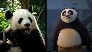 Protect Po and His Home and You'll Protect So Much More For People and Nature! 🐼🍃