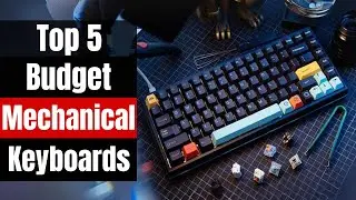 Best Budget Mechanical Keyboards 2024 - Type Like a Pro on a Budget!