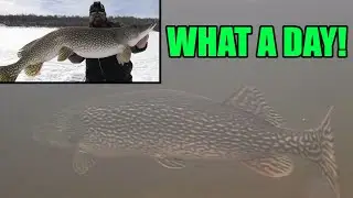 Insane Day of Ice Fishing for GIANT PIKE!