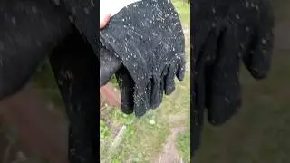 Опасные краги для пчеловодов