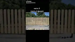 забор из дерева