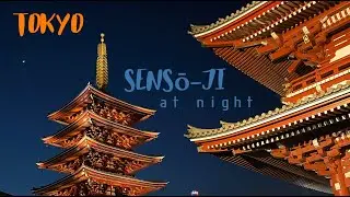 What I saw in Sensō-ji tonight. Asakusa.Tokyo