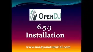 ForgeRock OpenDJ 6 5 3 Installation