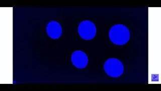 Sunday Best Animation Logos in Videoup V1
