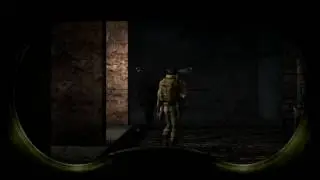slavik frame man