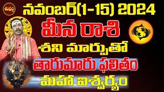 తారుమారు ఫలితం | MEENA RASI NOVEMBER 2024 | PISCES ASTROLOGY #KARTIKA MASAM | SHUBHAM TV