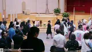 Decimocuarto domingo después de Pentecostés de Pentecostés
