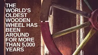 The world’s oldest wooden wheel has been around for more than 5,000 years
