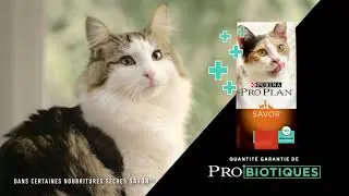 L'avantage: une quantité garantie de probiotiques vivants – PurinaMD Pro PlanMD SAVORMD