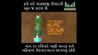 હવે ઘરે શાકભાજી ઉગાડવી  ખૂબ જ સરળ છે.