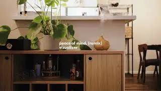 peace of mind - tee ferrari ((visualizer))