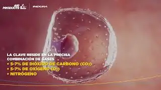 Gases para la fecundación asistida (FIV).
