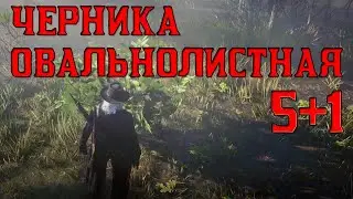 Черника овальнолистная 5 - red dead online
