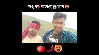 tometo rong lal longka onek jhal | 🍅🌶🥵 |টমেটো রঙ লাল, লঙ্কা অনেকে ঝাল || #comedy_video #funny_video#