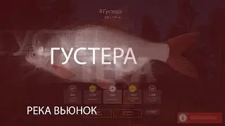 Русская рыбалка 4! Russian Fishing 4! р.Вьюнок - Густера!