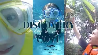 Discovery Cove Orlando