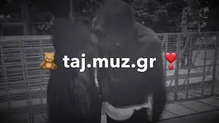 Т гарени бамазаи кампот🍒 шикалад меваги 🕊️