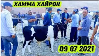 Молбозори ш.Истаравшан нархо имруз дахшат арзон