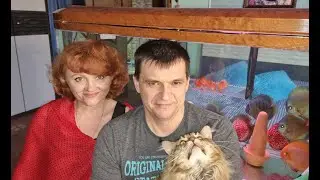 Дмитрий - 
