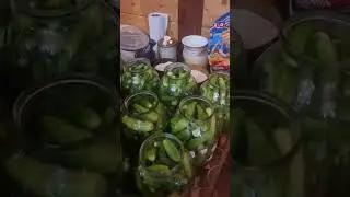 Елена в ударе!