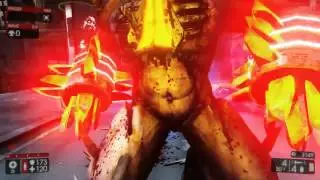 Field Medic Guide - Fleshpound Pulverizer