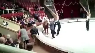 Пошла с пьным мужем в Цирк, теперь ВЕСЬ город смеется