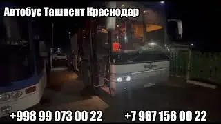 Краснодар Ташкент автобус, Москва Ташкент автобус, Ташкент Краснодар автобус, Ташкент Москва автобус