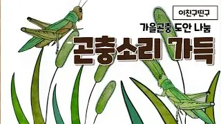 곤충색칠,인지색칠자료, 도안나눔.