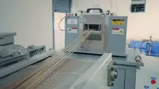 Plastics Program Innovator - IBANSS