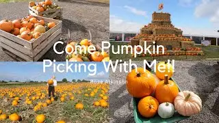 COME PUMPKIN PICKING WITH ME!!