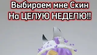 Последний НЕ ВЫБИРАЕМ!! 