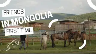 Unforgettable Summer Adventure in  Mongolia!