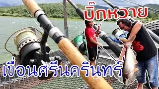 ตามล่าหาปลาไซด์ยักษ์ @เขื่อนศรีนครินทร์ [Part 1/2] || ตกไปเรื่อย EP.4