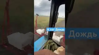 14 июня 2024 г.