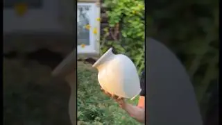 🍯 Гончарная школа / Волшебство керамики